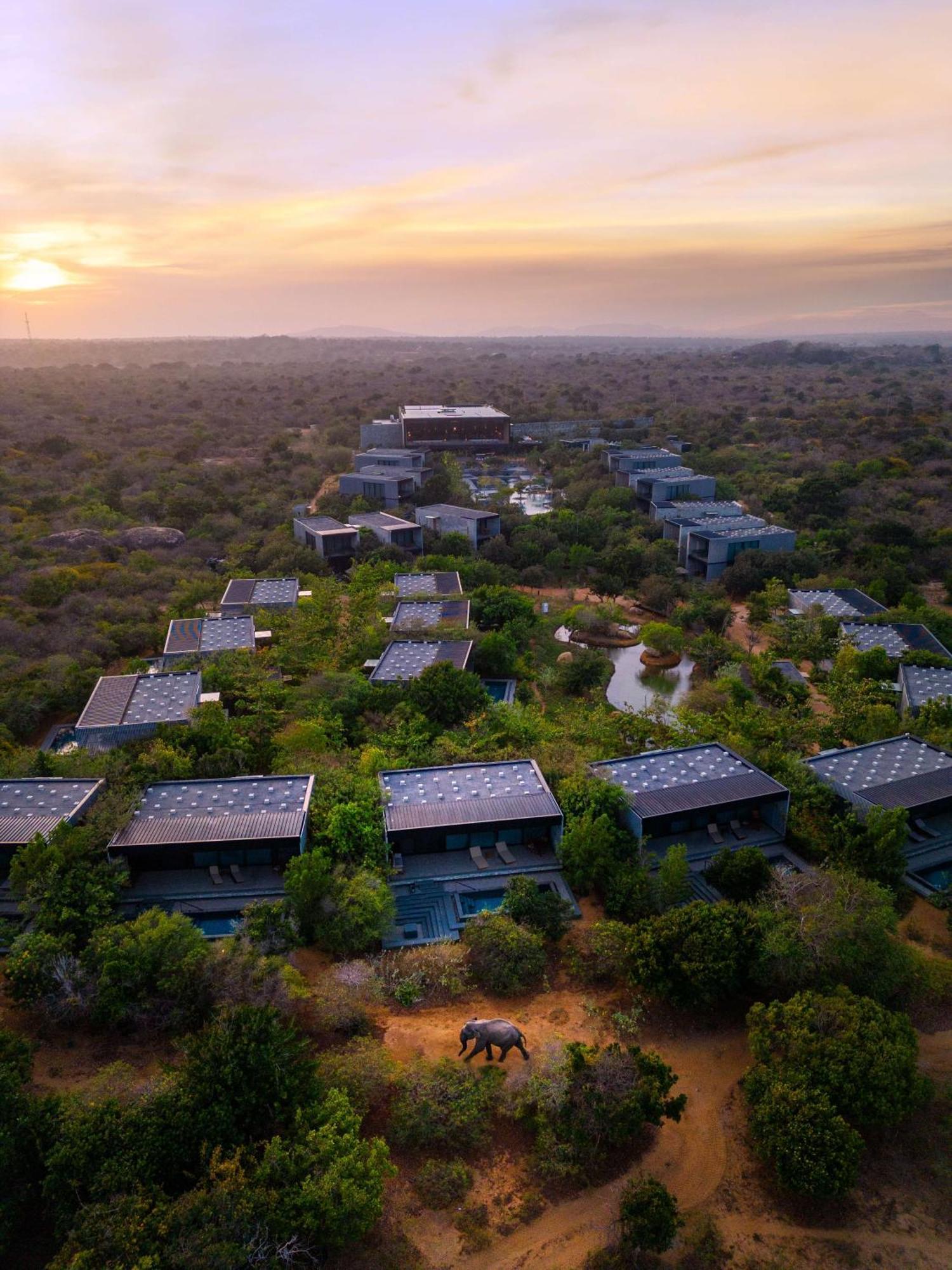 Hilton Yala Resort Exteriér fotografie